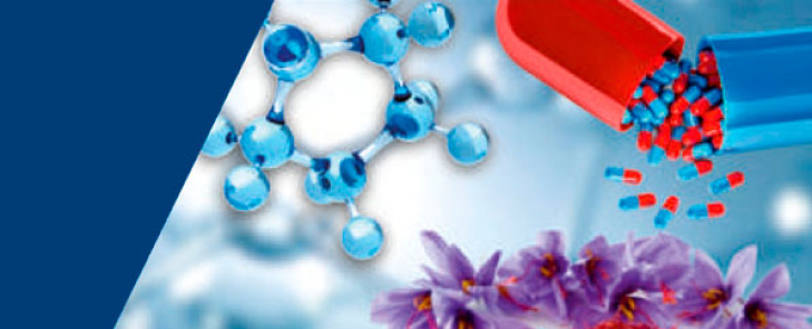 Выпуск: 5/2024